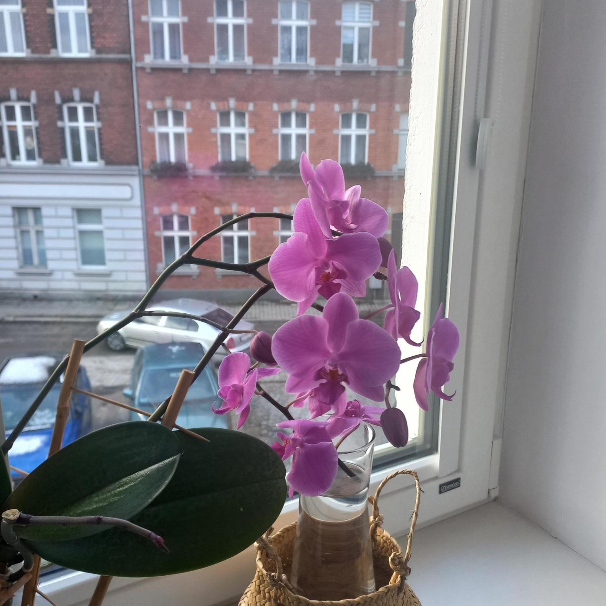 Apartament Prowansalski Z Miejscem Parkingowym Gdaňsk Exteriér fotografie